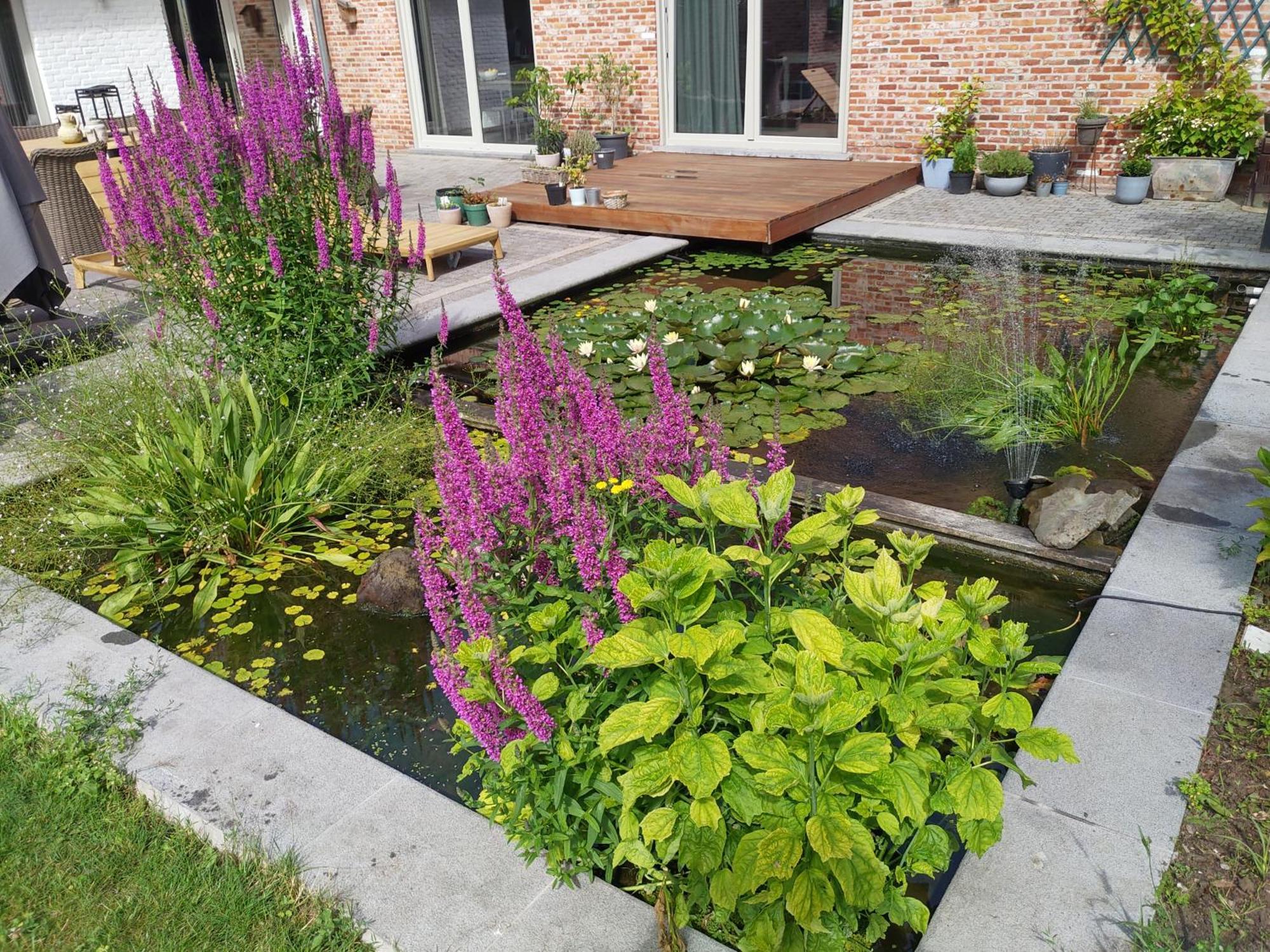 Villa The Two Oaks - Private Garden For Guests Hertsberge Esterno foto