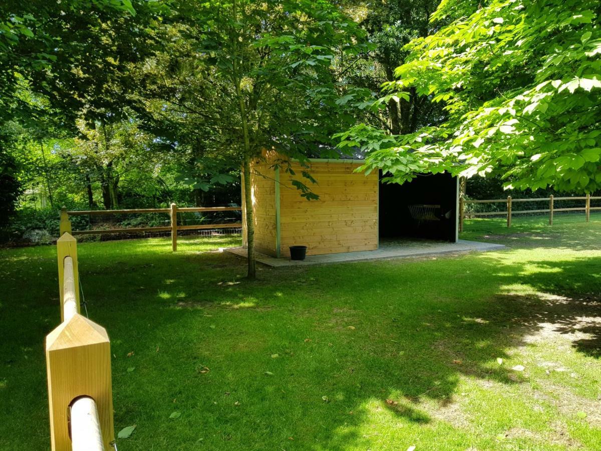 Villa The Two Oaks - Private Garden For Guests Hertsberge Esterno foto