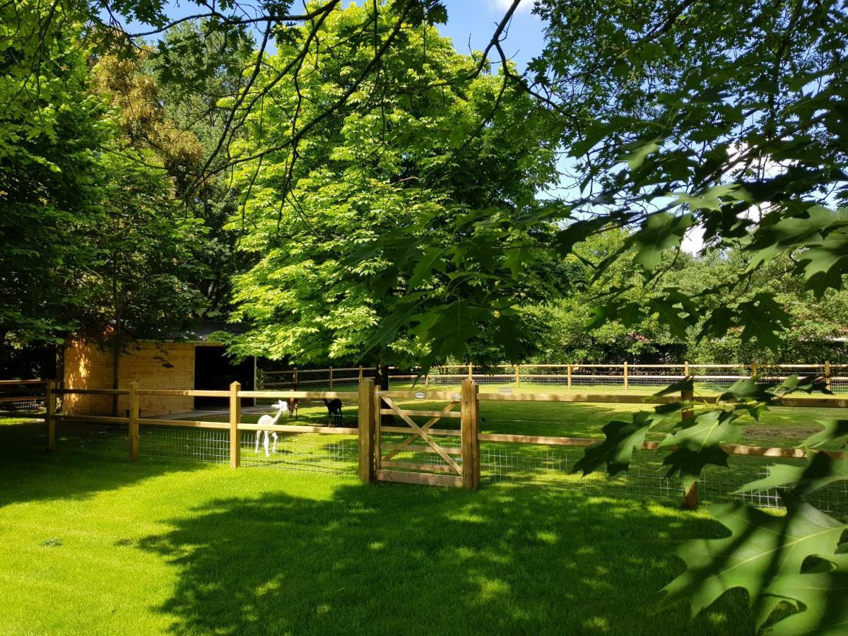 Villa The Two Oaks - Private Garden For Guests Hertsberge Esterno foto